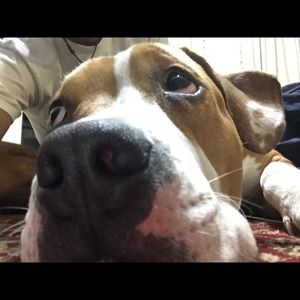 Meet your Posher, Nate